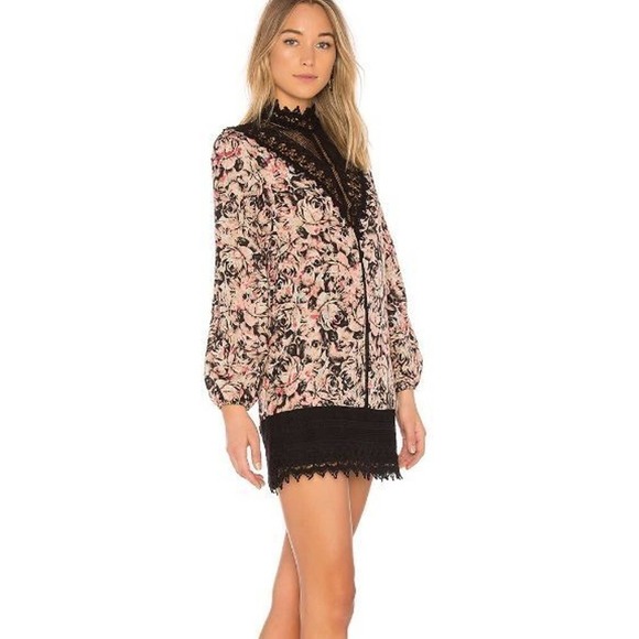 BCBGeneration Dress Sz 6 Lace Trim Mini In Black Haze Comb Roses Romantic $158 - Picture 4 of 13